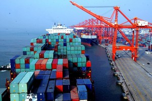 Cac Loai Thu Phi 545 1